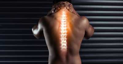 Spine Alignment and Nervous System Optimization